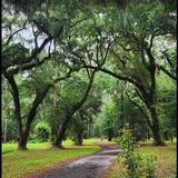 Sea Pines Forest Preserve