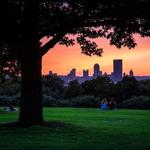 Schenley Park