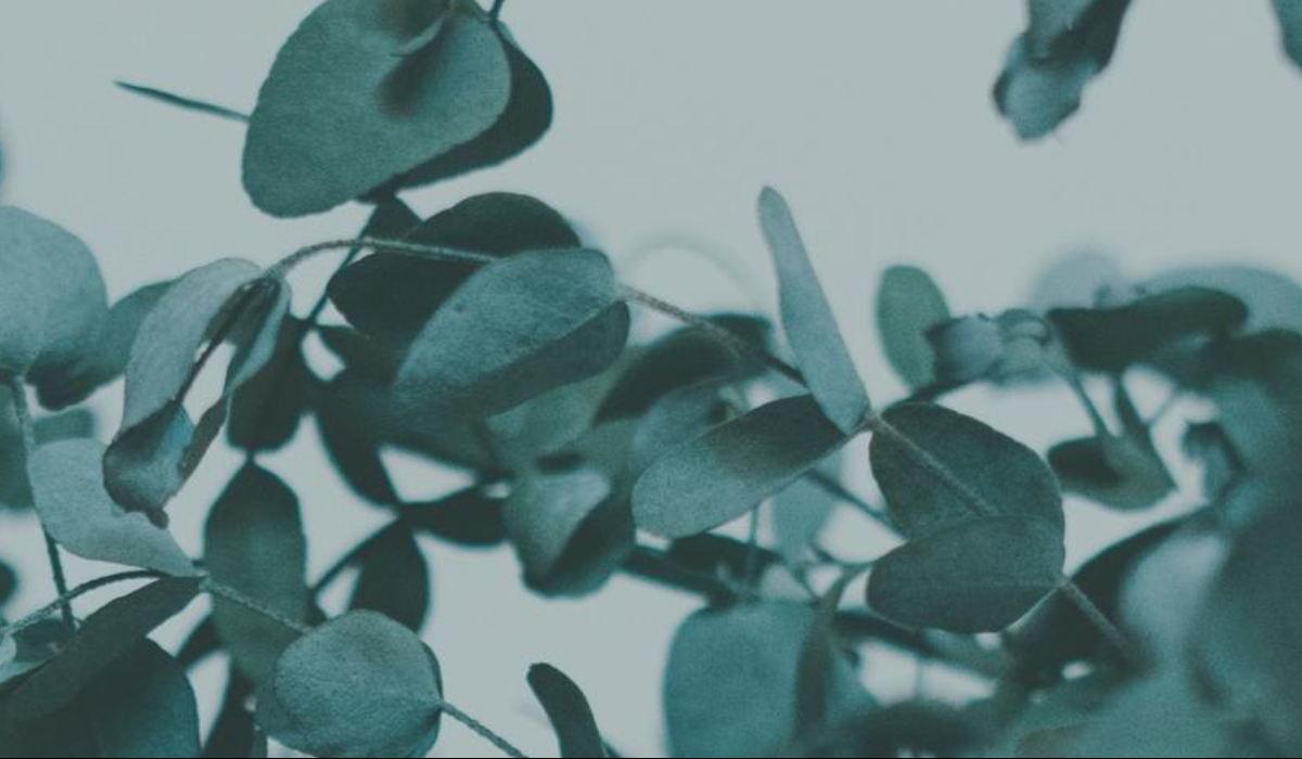 Footer image