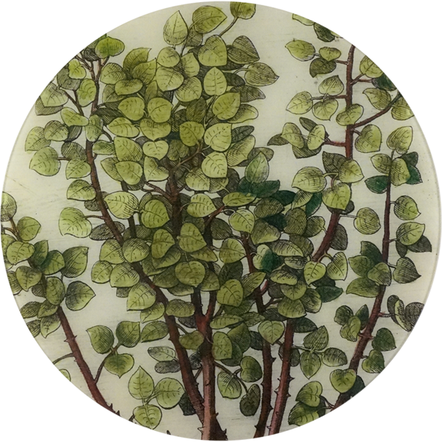John Derian Branches 16” Decoupage Platter