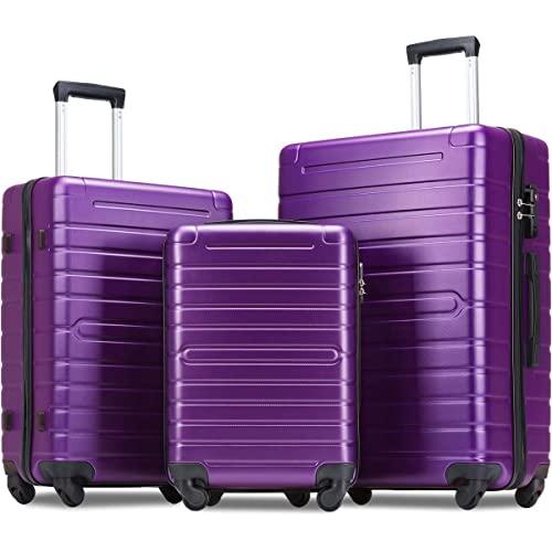Flieks Luggage Sets 3 Piece Spinner Suitcase with TSA Lock Lightweight 20 24 28 inch (Purple)
