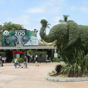 San Diego Zoo Tickets