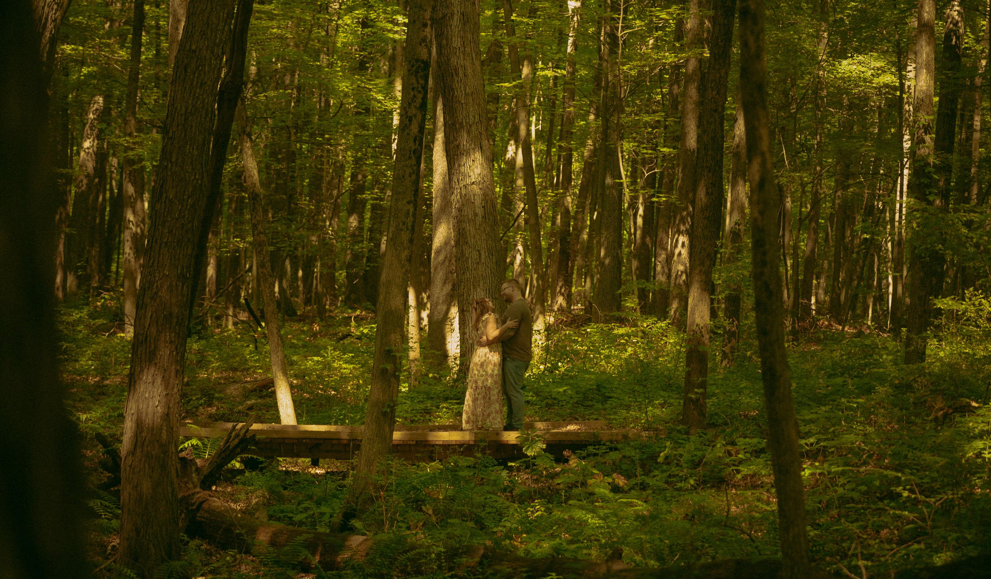 Hero Slideshow Image 5