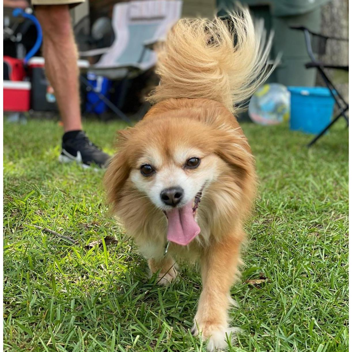 He's our happy boy!