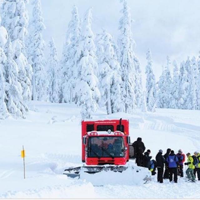 Honeymoon Cat Skiing