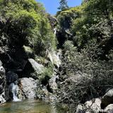 Salmon Creek Falls