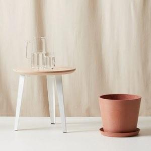 Buy Ecopots Round Pot - 12" in CLAY | Bloomscape