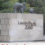 Lincoln Park Zoo