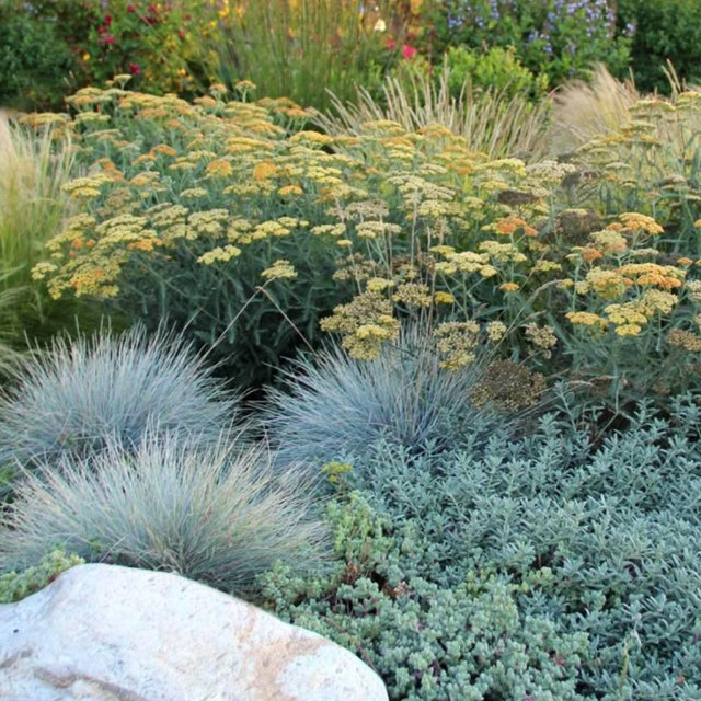 Landscaping Fund