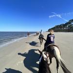 Horseback Rides on the Beach