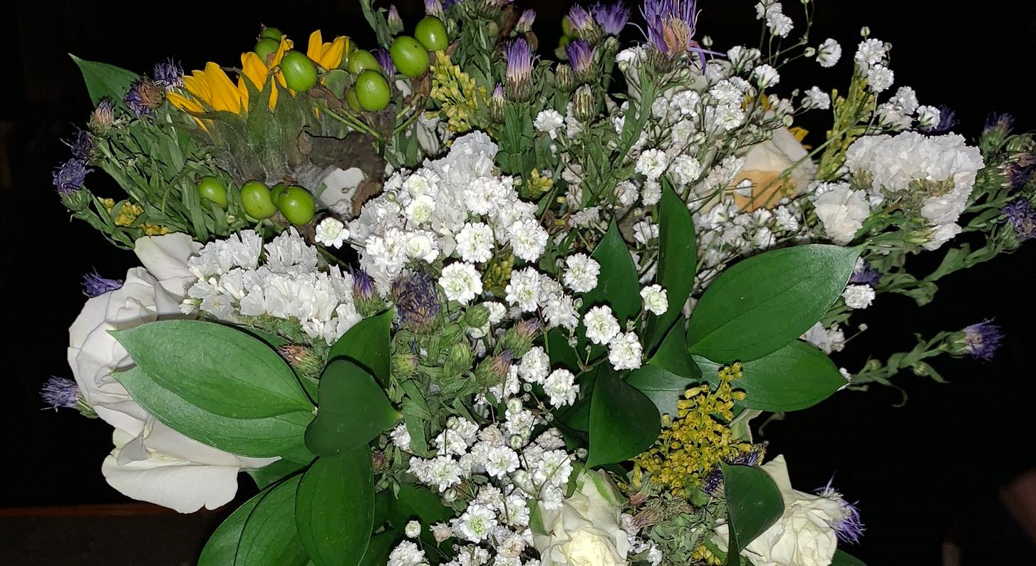 Footer image