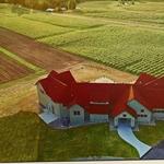 Bonobo Winery