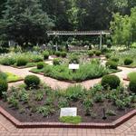 The State Botanical Garden of Georgia
