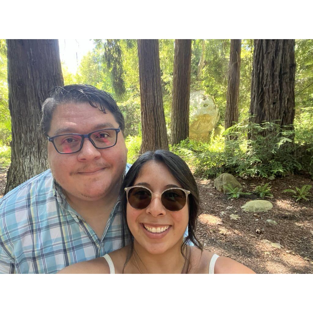 Seeing baby Redwoods in Santa Barbara