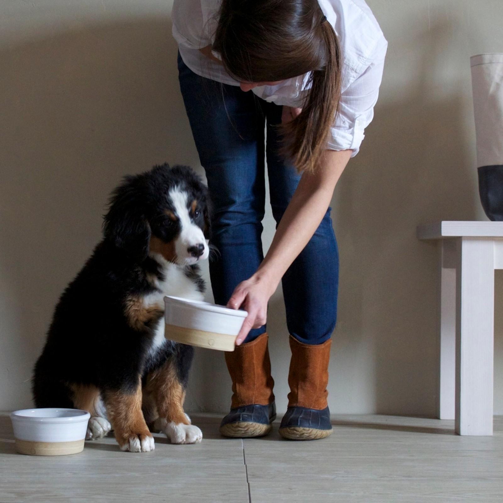 farmhouse pottery dog bowl