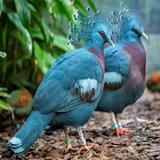 Milwaukee County Zoo