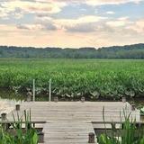Jug Bay Wetlands Sanctuary