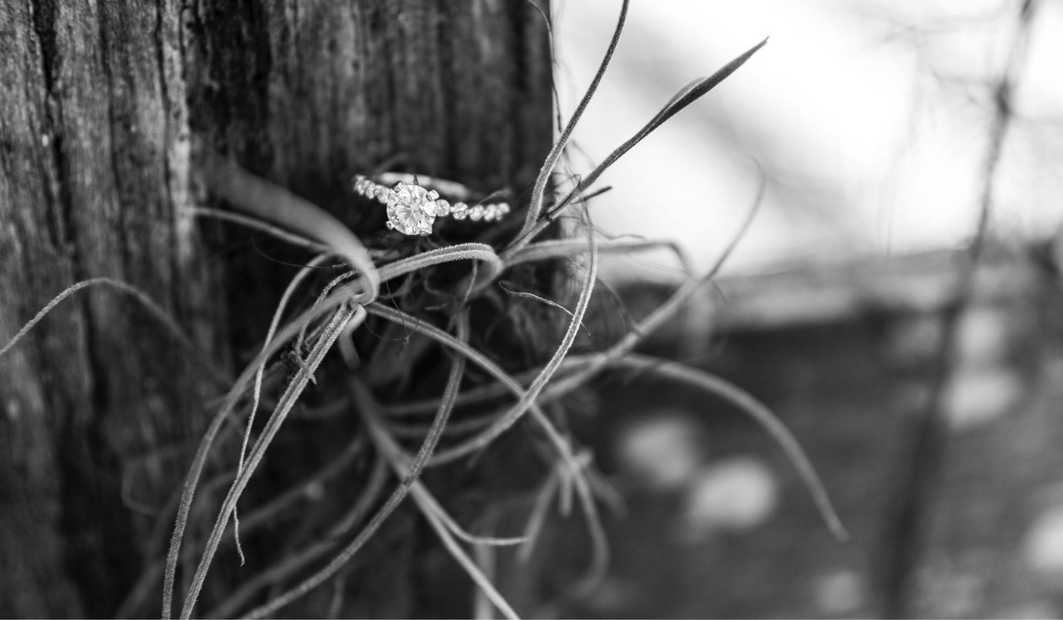 The Wedding Website of Zachary Huddleston and Allison Walters