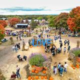 Cox Farms