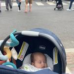 Collingswood Farmers' Market