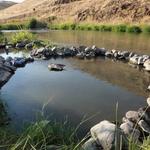 Juntura Hot Springs