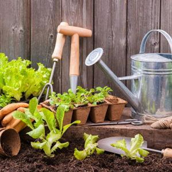 Garden Fund