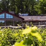 Tabor Hill Winery & Restaurant