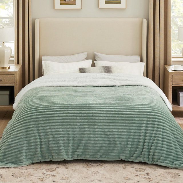 Bedsure Fleece Blanket Queen Size for Bed - Super Soft Cozy Plush Fleece Thick Warm Blanket for Winter, Sage Green, 90x90 Inches