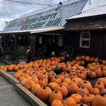 MacQueen Orchards