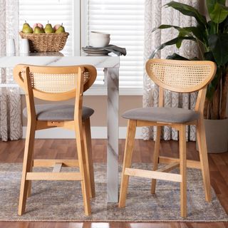 Dannell Mid-Century Modern Counter Stool, Set of 2