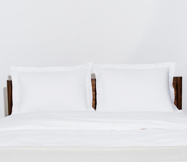 Percale Standard Pillow Sham in Ivory
