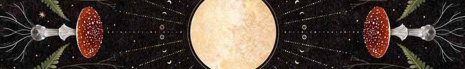 The Wedding Website of Patience Williams and Matthew Budurowich