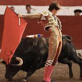 Traditional Bullfighting/ Corrida de Toros Tradicional