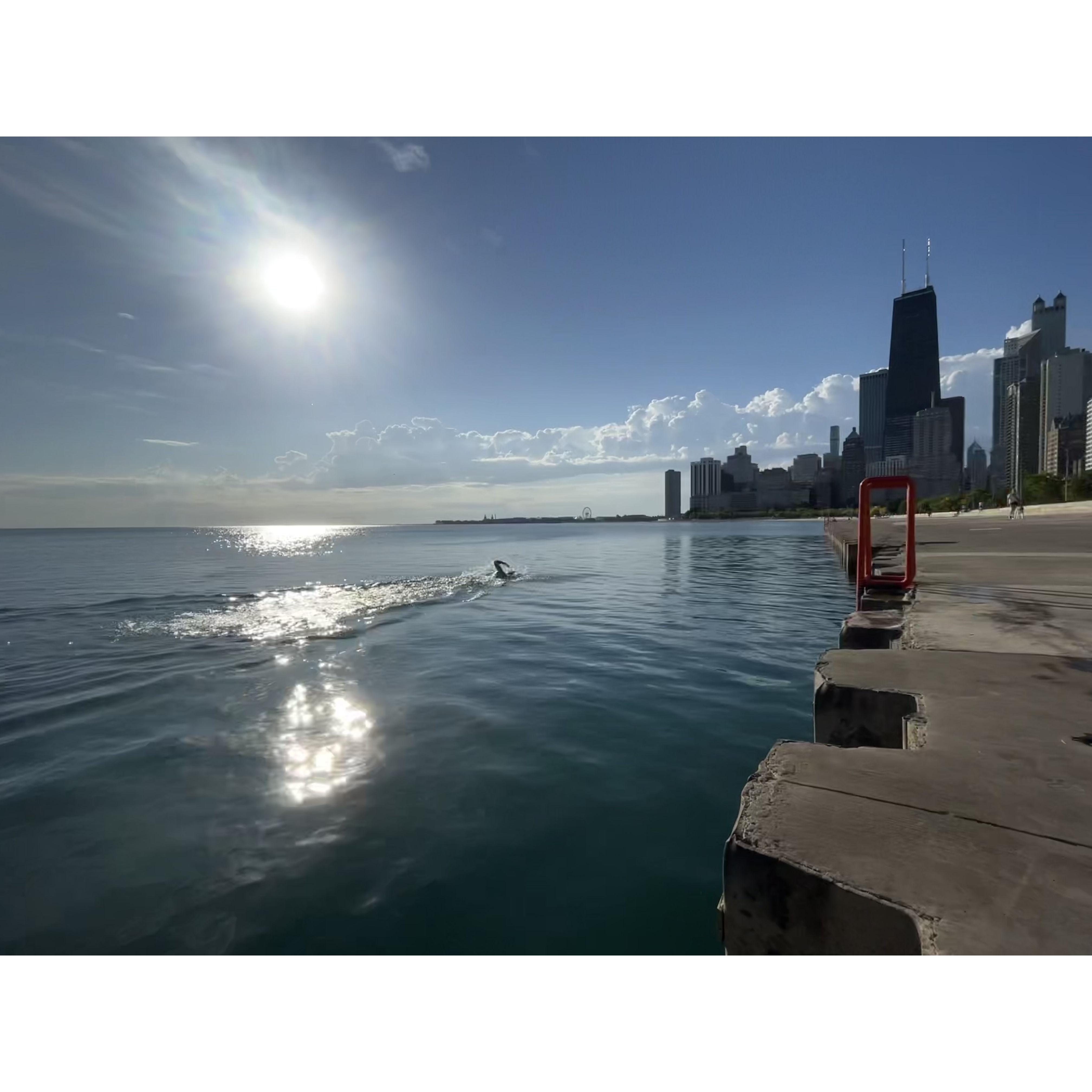 Morning plunge in Lake Michigan before we moved out of Chicago