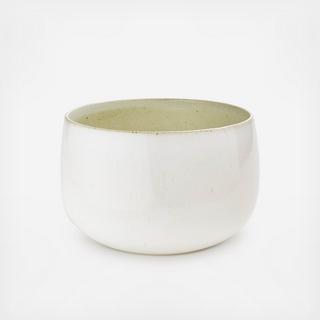 Salad Bowl