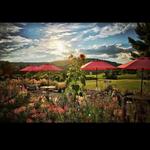 Jefferson Vineyards