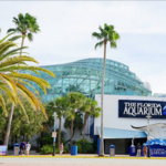 The Florida Aquarium