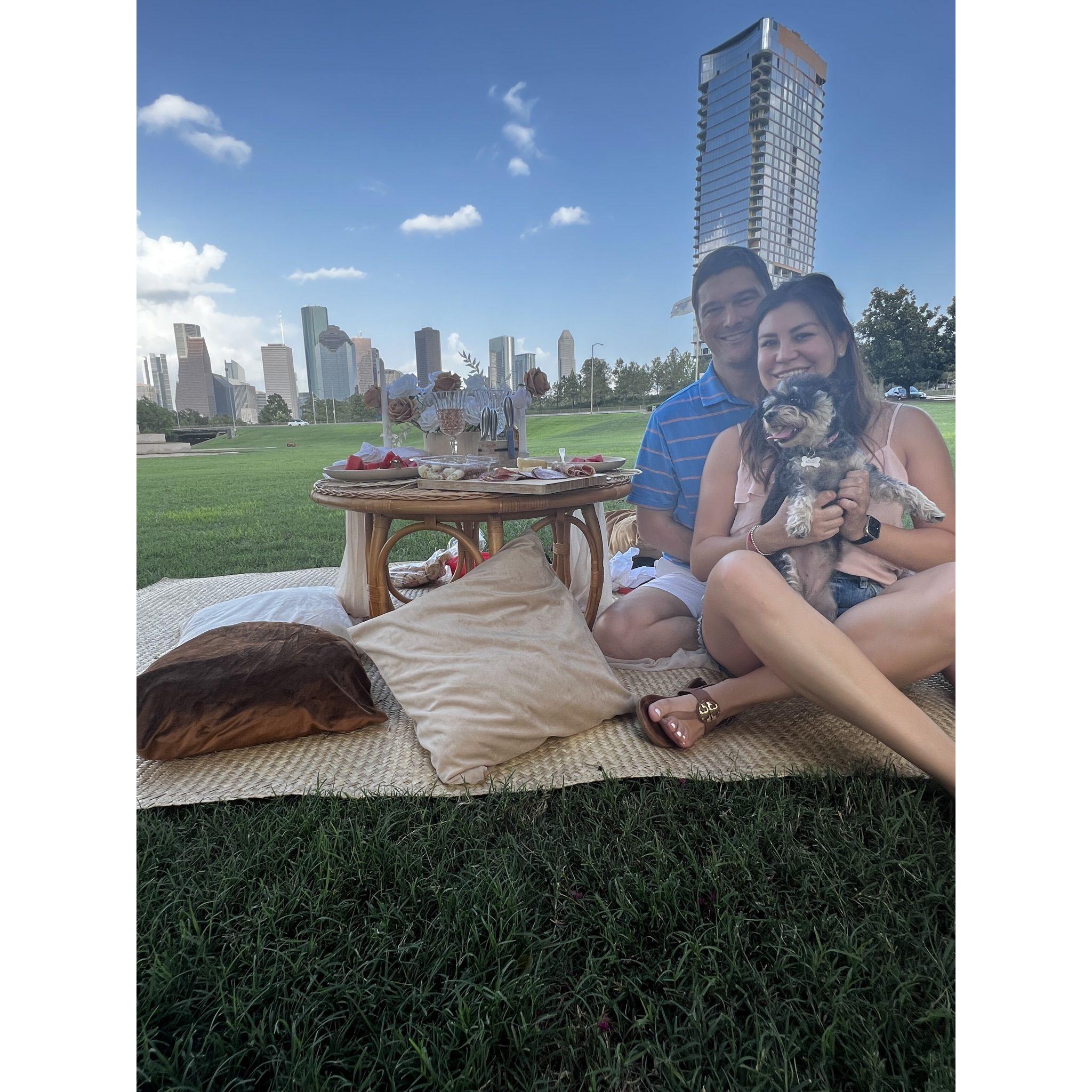 Surprise picnic