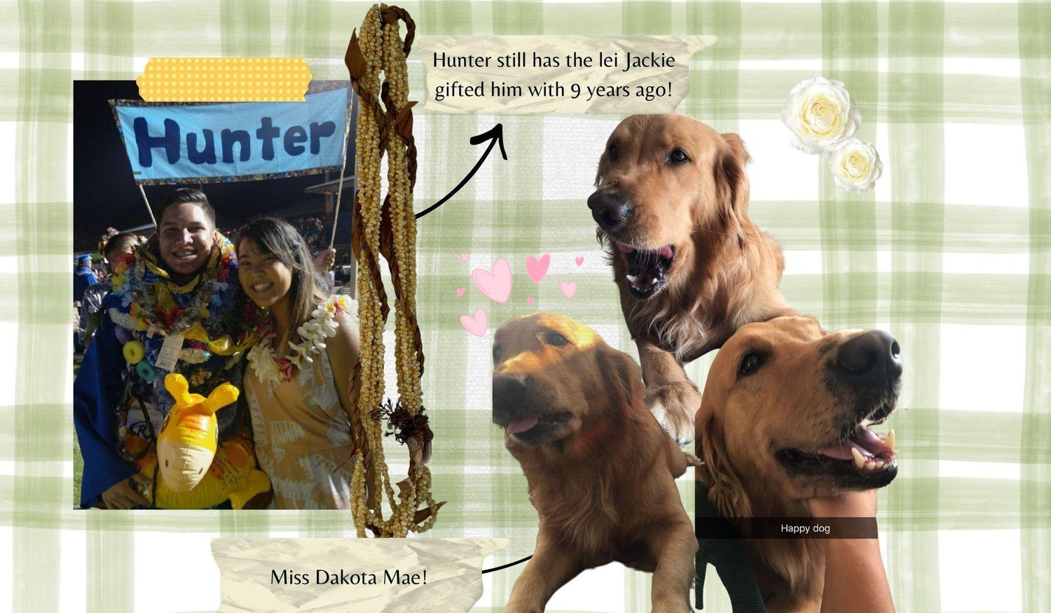 Footer image