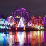Zoo Lights at Zoo Miami