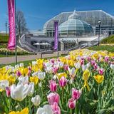Phipps Conservatory and Botanical Gardens