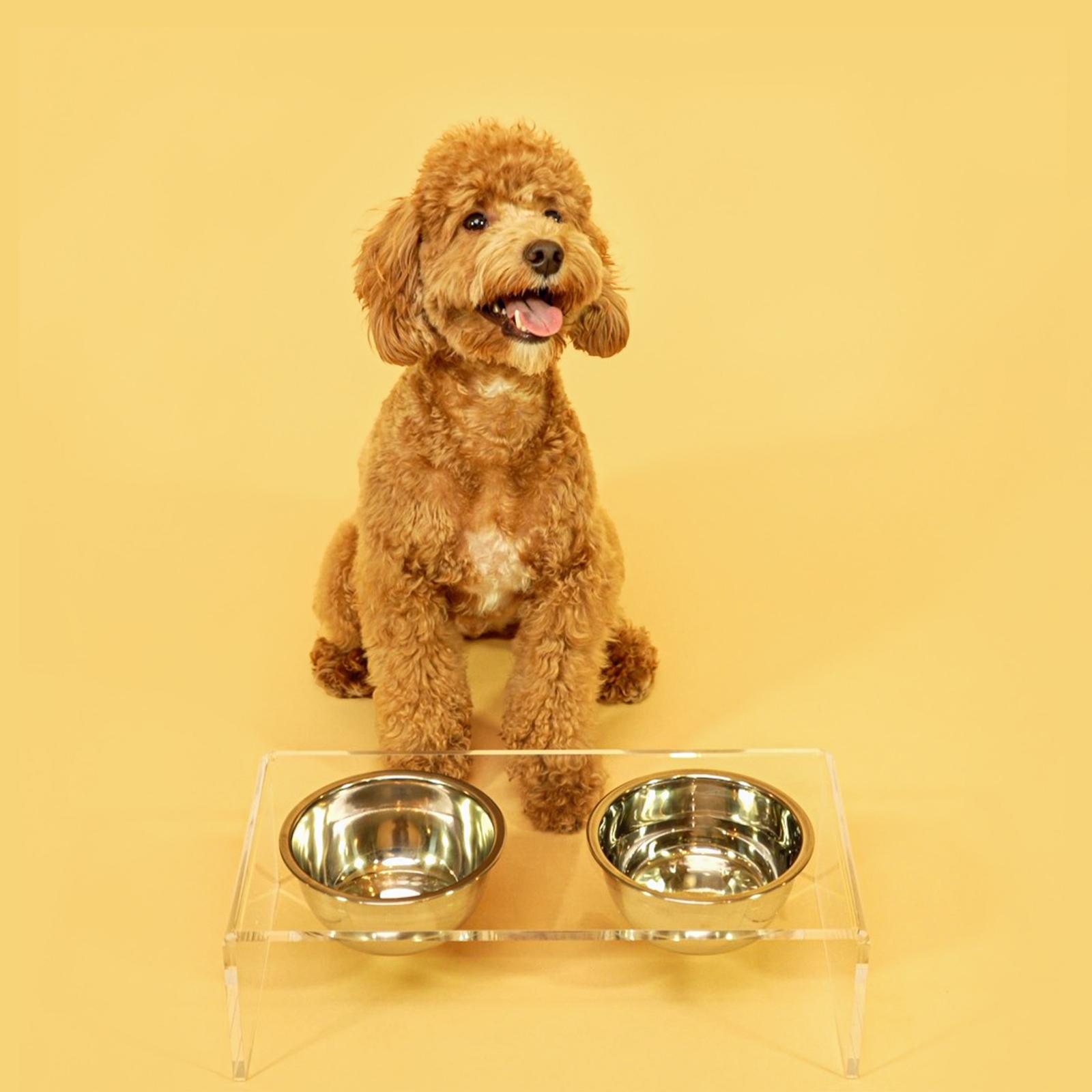 THE LICKER STORE DBL2000A Keaton 5" Small/Medium Modern Lucite Rectangular Elevated Pet Feeder with 20oz 2-Stainless Steel Bowls, Clear/Chrome