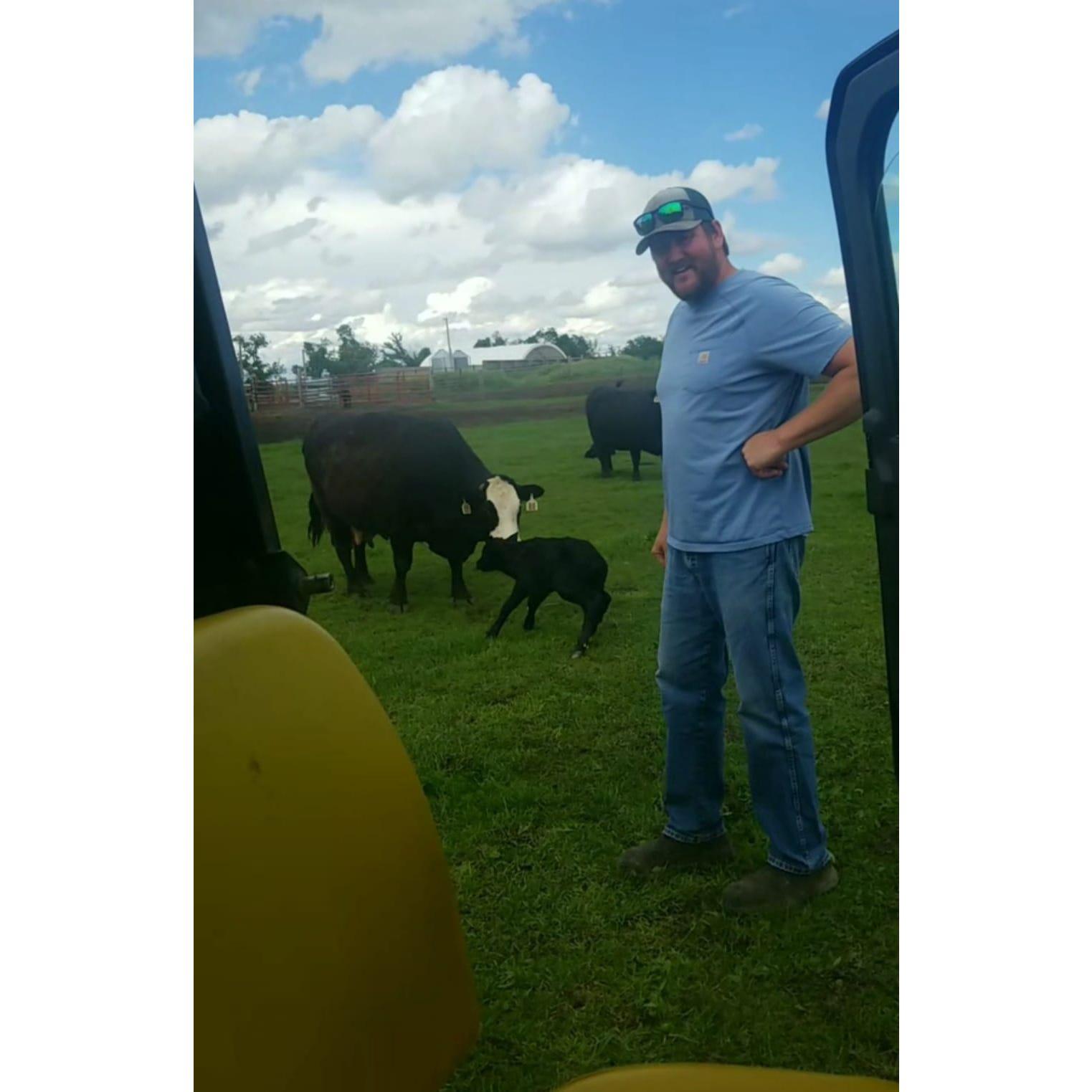 Living and Loving the Farm Life.