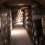 Tequila tasting tour