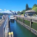 Ballard Locks Fish Ladder