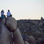 Joshua Tree National Park