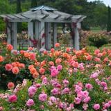 Norfolk Botanical Garden