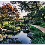 San Antonio Botanical Garden