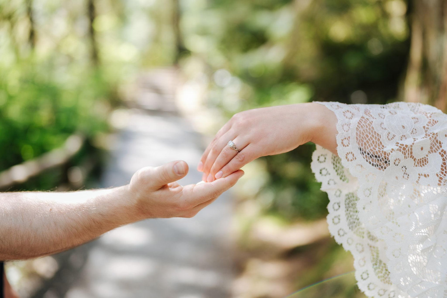 The Wedding Website of Brooklyn Higgs and James Jeffery