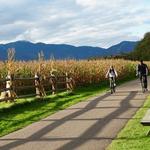 Stowe Recreation Path Peace Park